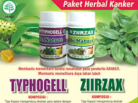 Jual Obat Kanker Herbal Kapsul Ziirzax dan Typhogell Asli De Nature Di Kabupaten Labuhanbatu Utara