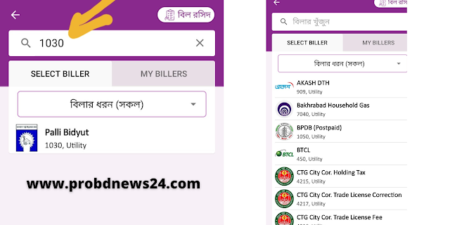 palli-bidyut-bill-payment-by-rocket-app