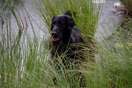 2011_0710dalsland10062