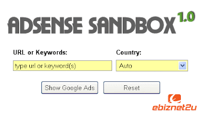 Essential Precautions And Must-Knows For Web Domains