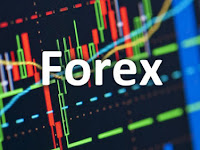 50 Kamus Forex Profite