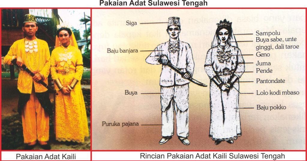  Pakaian  Adat Sulawesi  Tengah  Lengkap Gambar dan 