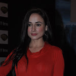 Linda Arsenio Looks Super Sexy In Red See-through Top At Film 'Dam 999' Press Meet In Mumbai