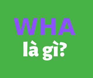 wha là gì