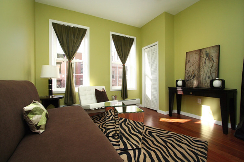 Living Room Colors