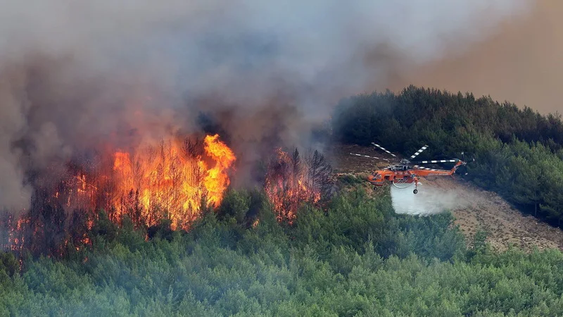 Επερώτηση Λαϊκής Συσπείρωσης ΑΜ-Θ για την καταστροφική πυρκαγιά στη Θάσο