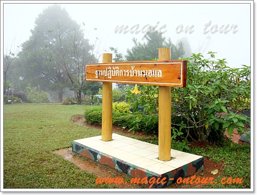 photo magic on tours