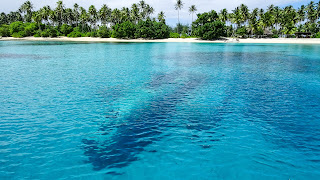 Plane wreck visible from above the surface