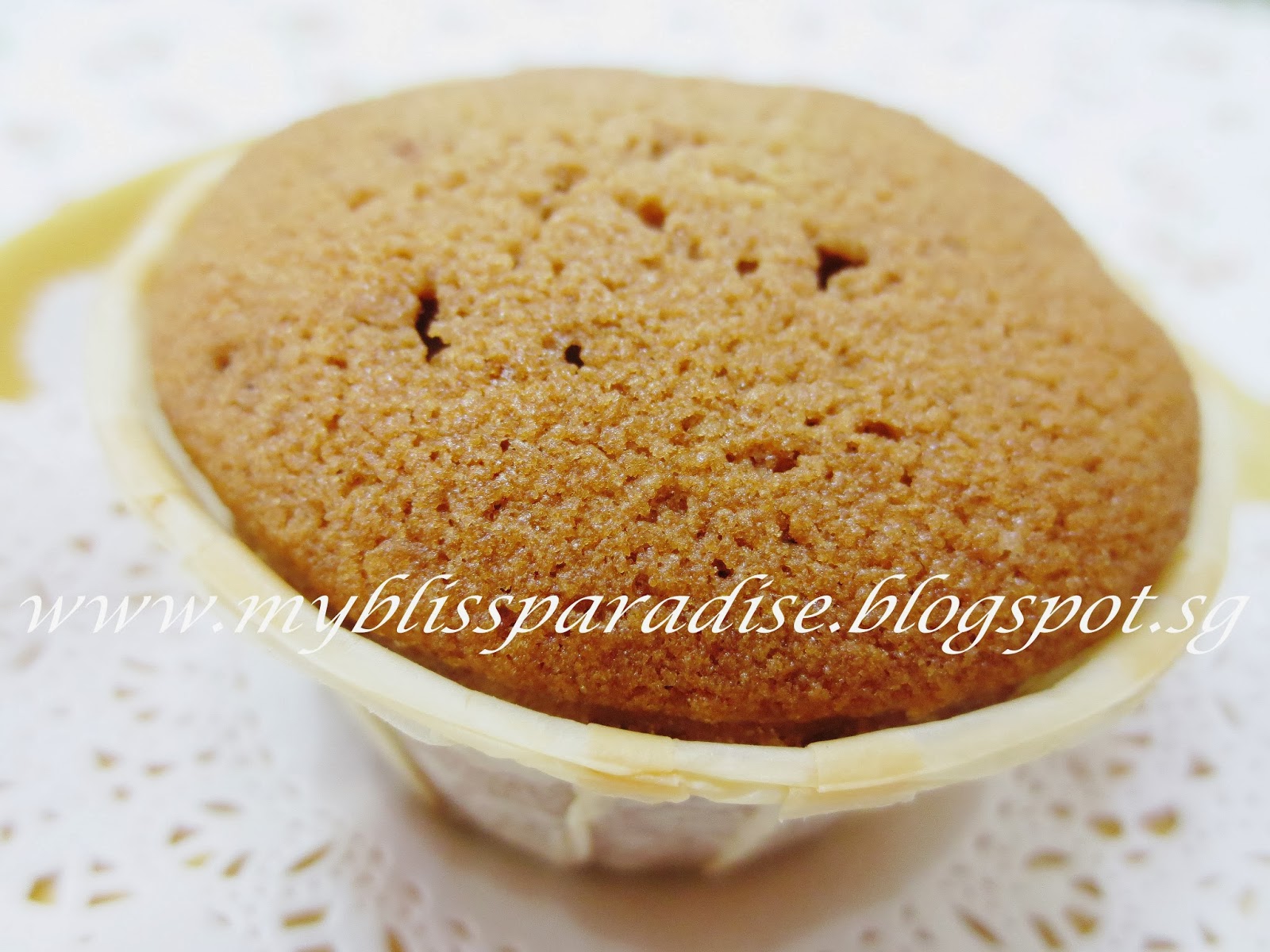 http://myblissparadise.blogspot.sg/2014/01/chocolate-cupcakes-15-jan-14.html