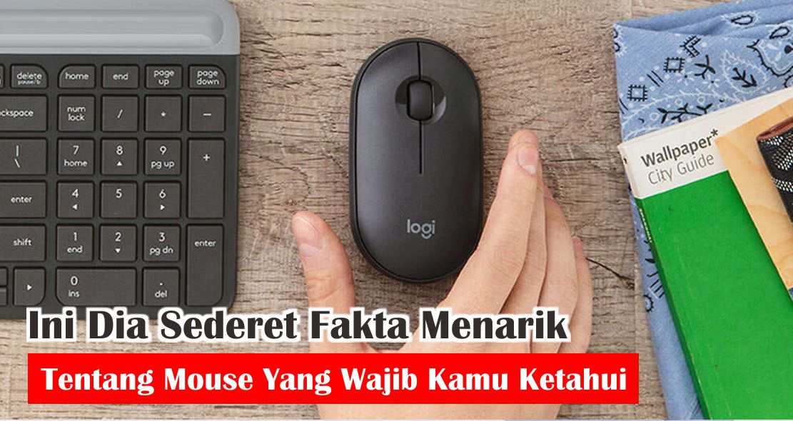 Ini Dia Sederet Fakta Menarik Tentang Mouse Yang Wajib Kamu Ketahui