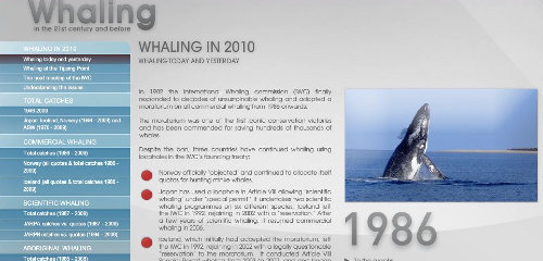 whale hunting statistics. on whale hunting.