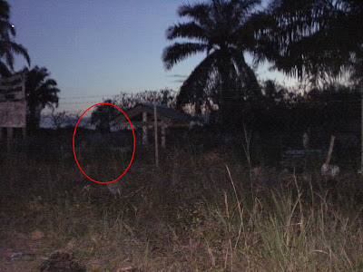 Foto Hantu Seram hantu yang sangat seram 