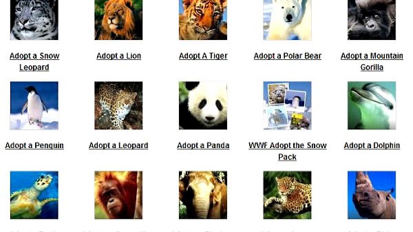 Adopt An Endangered Animal