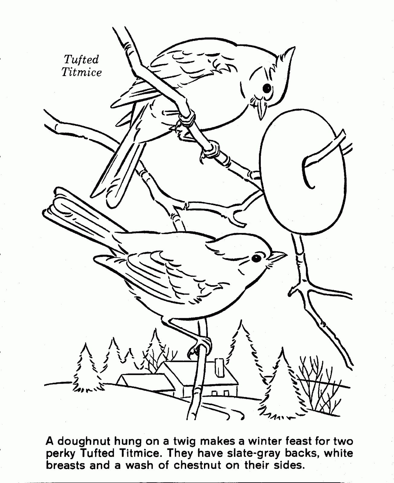 nature coloring pages free, plants, animals, best coloring books ...