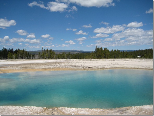 Potluck & Yellowstone 021