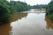 Diduga Limbah Tambang PT CLM Cemari Sungai