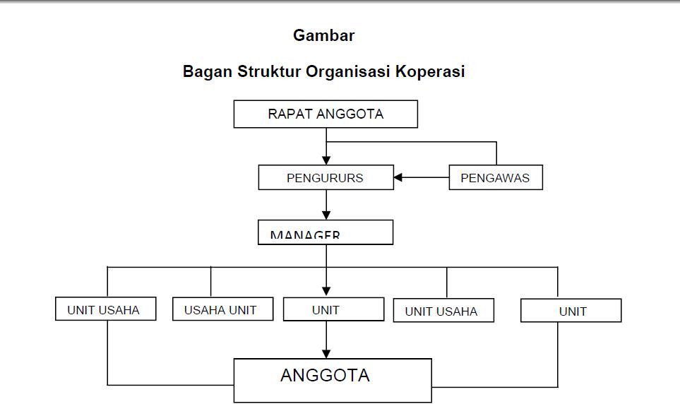 Pengertian, Struktur dan Ciri - Ciri Organisasi Koperasi 