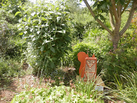 Garden visit, the gardens at Severn Hospice, Apley.  From UK garden blogger secondhandsusie.blogspot.com