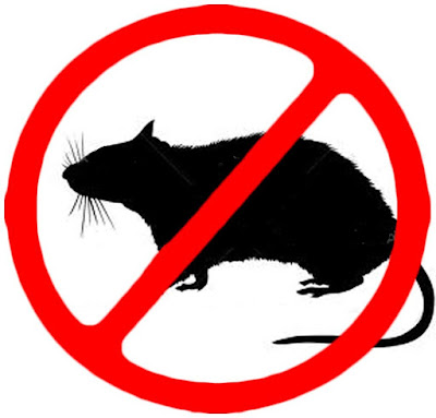 Natural repellent of mice, how to get rid of mice, how to get rid of rats, Natural repellent of mice, peppermint oil for mice, pest control, Pest Repeller, rodent control, 