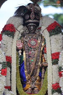 Day 02, Vasanthotsavam,Vaigasi, Purappadu,Video, Divya Prabhandam,Sri Parthasarathy Perumal, Triplicane,Thiruvallikeni,Utsavam,