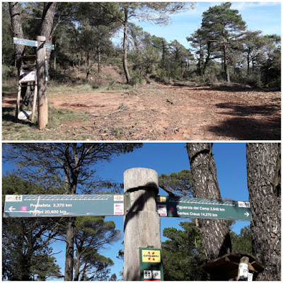 Prenafeta a Santes Creus GR-175 Ruta del Cister, Coll de l'Era del Caterí