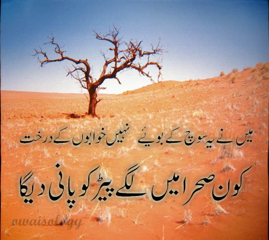 wallpaper of urdu poetry. Best Urdu Poetry 2011