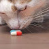 "Competition Law in the Pharmaceutical Sector" returns to Brussels with IPKat readers’ discount