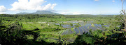 Only south of Bali is overpopulated, the rest is beautiful. Rice Fields: (indonesia bali north east rice)