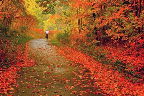 otoño