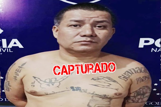 El Salvador: PNC captura a peligroso pandillero alias "Venado" en Ahuachapán