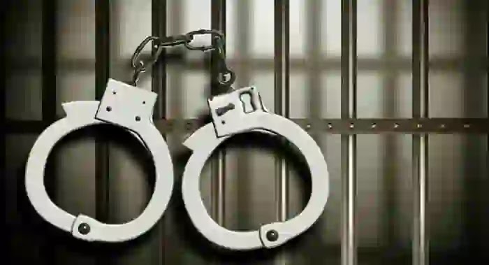 Youth and Friends Arrested for Robbing own house in Palakkad, Palakkad, News, Police, Arrested, Robbery, Complaint, Kerala