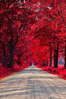 Amazing new and fresh hd nature wallpapers to download free for mobile and desktop