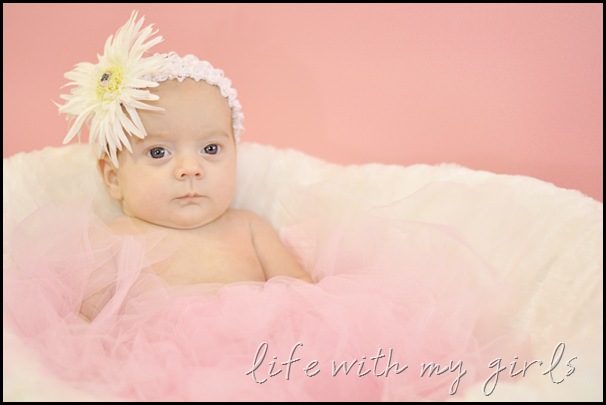 DSC_6725 copy