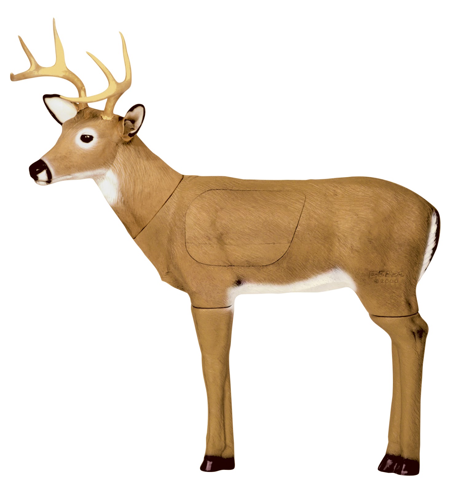 3d View Picture: 3d Deer Target