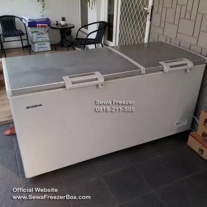 sewa freezer box 600 liter Jabon Sidoarjo