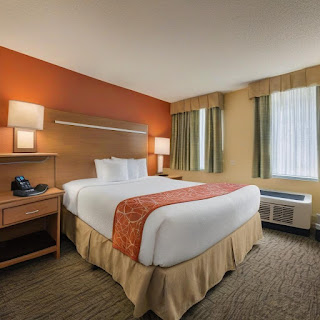 Disney Dreams on a Dime Discover the Top Budget-Friendly Hotels in Orlando Near the Magic