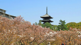 人文研究見聞録：仁和寺 ［京都府］