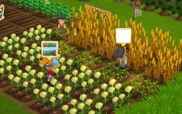 FarmVille 2 Cheats & Tips: Harvest those crops before friends can! 