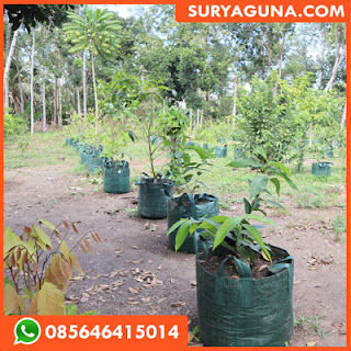 Jual Planter Bag 50 Liter