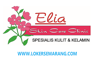 Lowongan Kerja Pengemudi Pribadi untuk Dokter Elia Skin Care Semarang