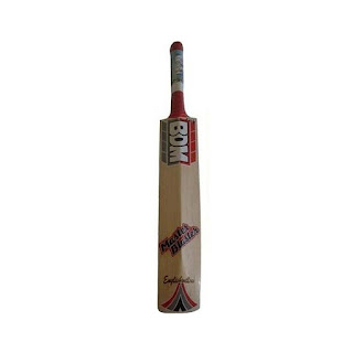 BDM Master Blaster English Willlow Cricket Bat