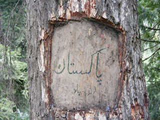 pakistan zindabad written on tree in Mushk Puri