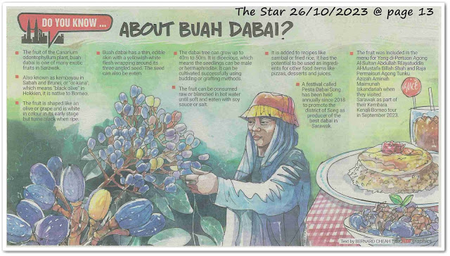 Do you know... About buah dabai?