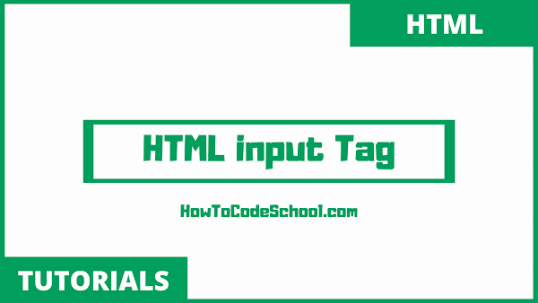 HTML input Tag