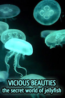 Vicious Beauties: The Secret World Of The Jellyfish - Jelly fish, animal & nature documentary