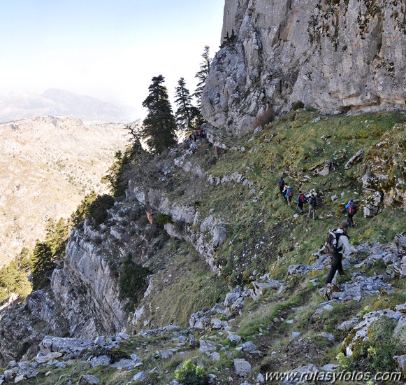 IX Travesía Sierra de las Nieves