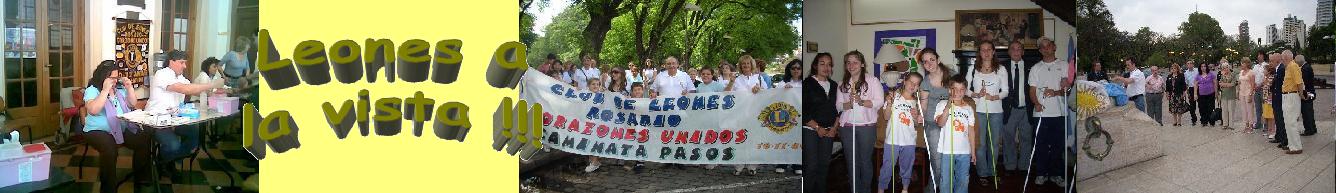 Leones a la vista