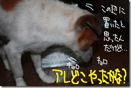 今日カズ１０１１２４　１