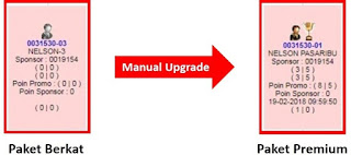 manual upgrade