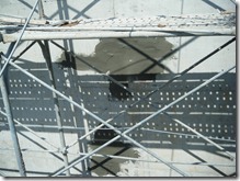 DSCF4272